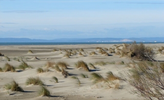  Numerosos pbaños en barco con Etrave Croisies 